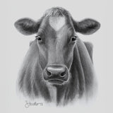 HOLSTEIN-RIND - Originalzeichnung | Sabrina Hassler | 2023