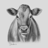 JERSEY-RIND - Originalzeichnung | Sabrina Hassler | 2023