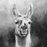 LAMA - Kunstdruck | Sabrina Hassler