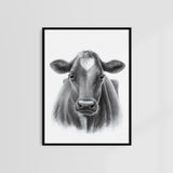 HOLSTEIN-RIND - Originalzeichnung | Sabrina Hassler | 2023