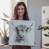 HOCHLANDRIND - Kunstdruck | Sabrina Hassler