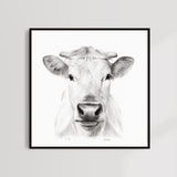 KUHPORTRAIT - Kunstdruck | Sabrina Hassler