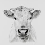 KUHPORTRAIT - Kunstdruck | Sabrina Hassler