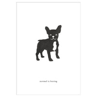 Grußkarte Frenchie Hund - normal is boring - || Kartotek